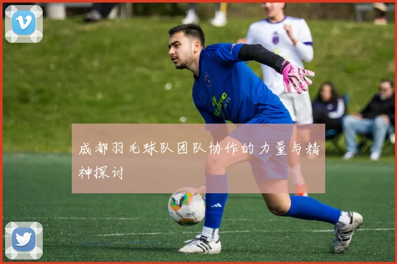 成都羽毛球队团队协作的力量与精神探讨