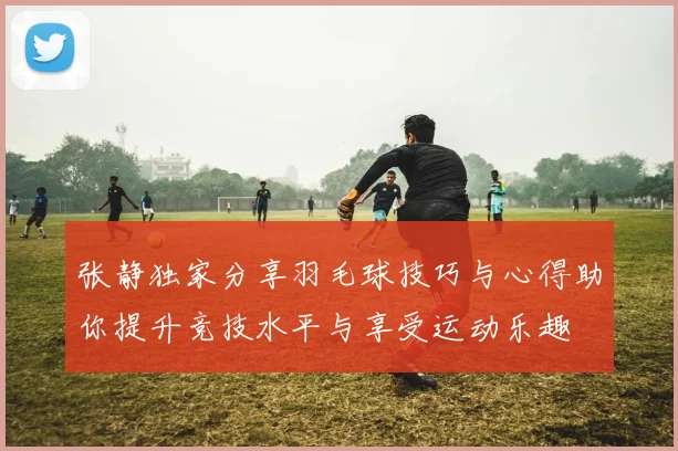 张静独家分享羽毛球技巧与心得助你提升竞技水平与享受运动乐趣