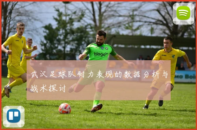 武汉足球队耐力表现的数据分析与战术探讨