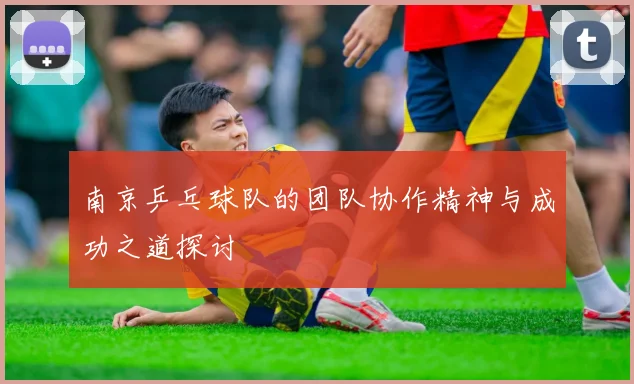 南京乒乓球队的团队协作精神与成功之道探讨