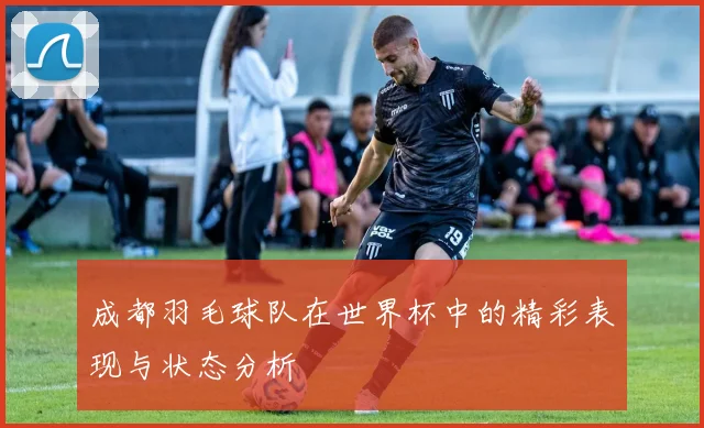 成都羽毛球队在世界杯中的精彩表现与状态分析