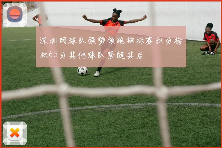 深圳网球队强势领跑锦标赛积分榜积65分其他球队紧随其后