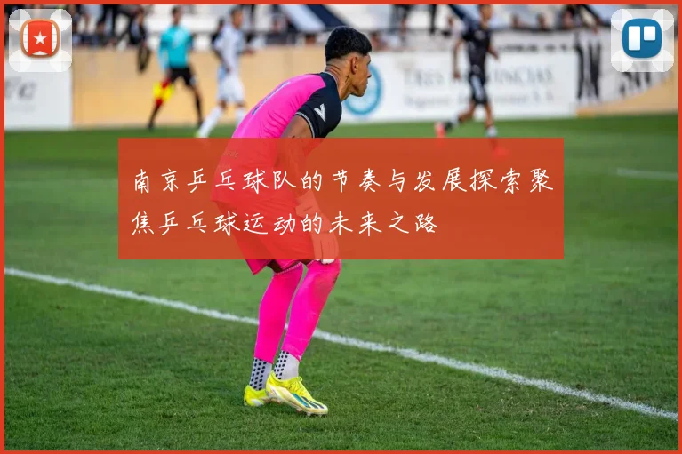 南京乒乓球队的节奏与发展探索聚焦乒乓球运动的未来之路
