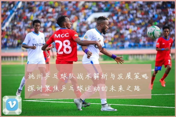 杭州乒乓球队战术解析与发展策略探讨聚焦乒乓球运动的未来之路