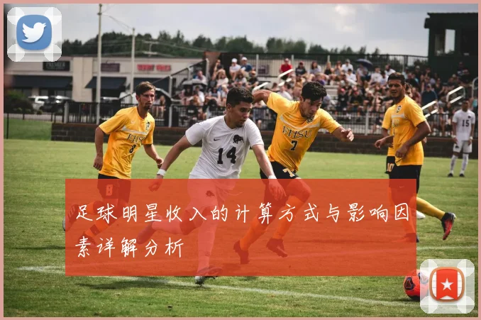 足球明星收入的计算方式与影响因素详解分析