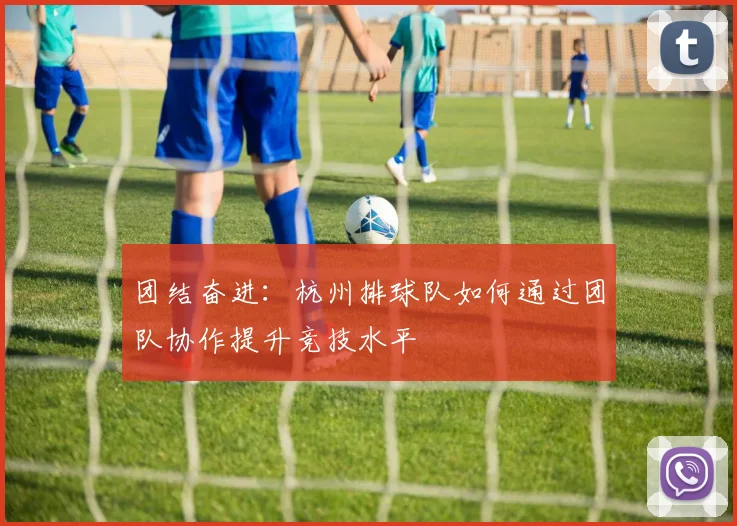 团结奋进：杭州排球队如何通过团队协作提升竞技水平