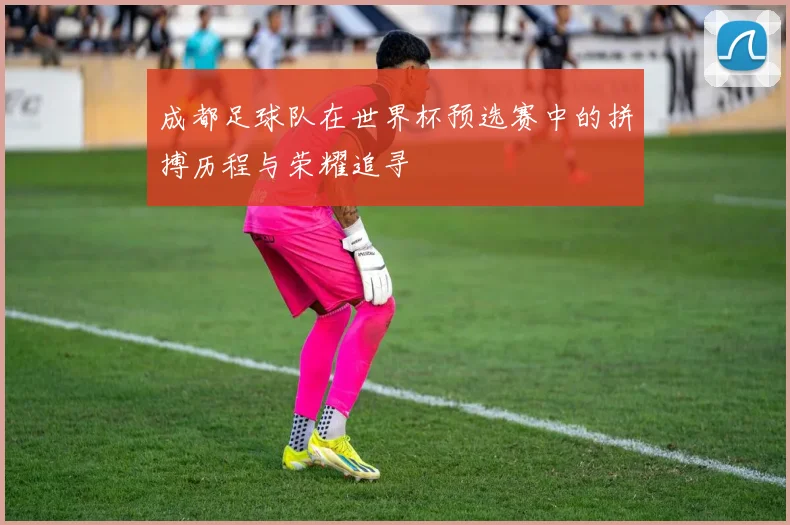 成都足球队在世界杯预选赛中的拼搏历程与荣耀追寻