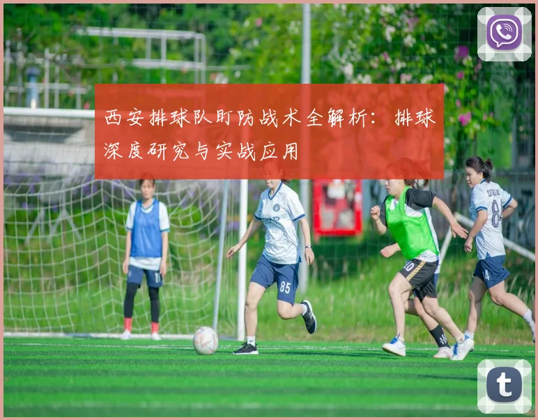 西安排球队盯防战术全解析：排球深度研究与实战应用