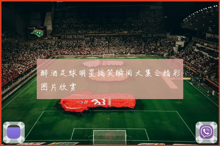 醉酒足球明星搞笑瞬间大集合精彩图片欣赏