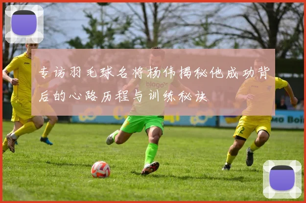 专访羽毛球名将杨伟揭秘他成功背后的心路历程与训练秘诀