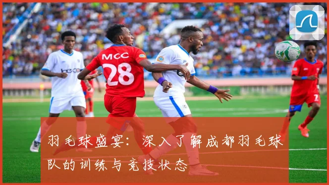 羽毛球盛宴：深入了解成都羽毛球队的训练与竞技状态