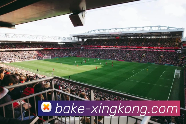 xingkong官网发展历程